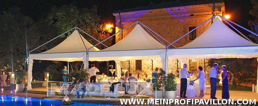 Pavillon Pagodenzelte profizelt Gartenzelt Benutzerdefiniert Personalisiert Carport Terrassendach  Faltpergola PVC PROFI