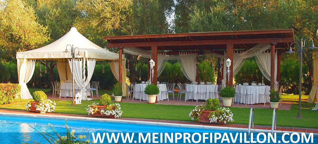Pavillon Pagodenzelte profizelt Gartenzelt Benutzerdefiniert Personalisiert Carport Terrassendach  Faltpergola PVC PROFI